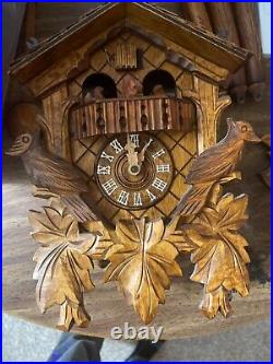 Vintage Herr Triberg Musical Black Forest Cuckoo Clock Moving Squirrels Video