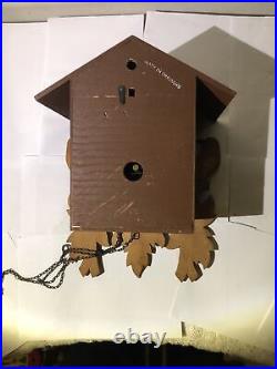 West Germany Black Forest Cuckoo Clock-One Day-Working-Needs Adjustment